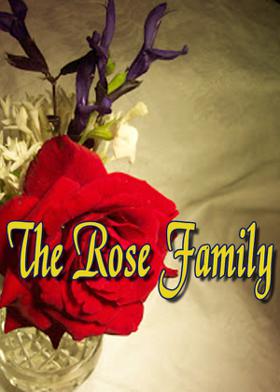 The Rose Family