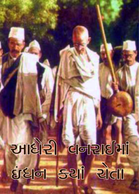 આધેરી વનરાઈમાં ઇંધન ક્યાં ચેતા