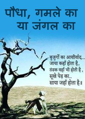 पौधा, गमले का या जंगल का