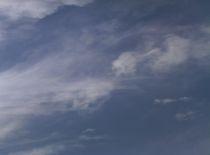 Wisdom, Truth And Life