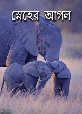 স্নেহের আগল