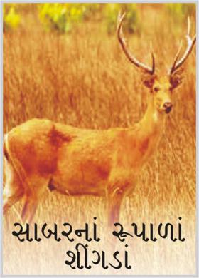 સાબરનાં રૂપાળાં શીંગડાં