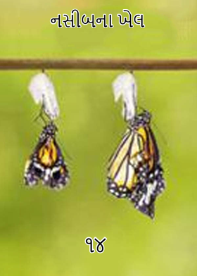 નસીબના ખેલ ભાગ ૧૪