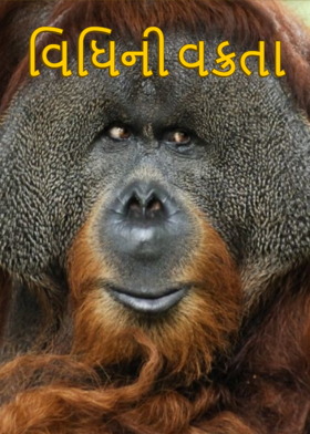 વિધિની વક્રતા