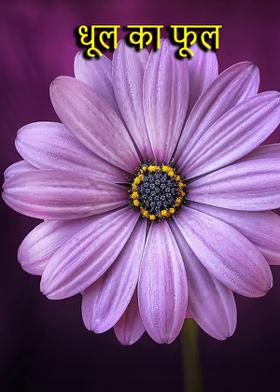 धूल का फूल