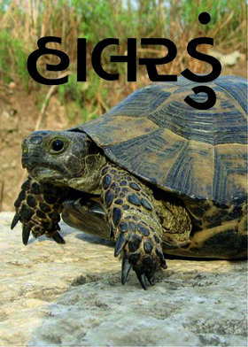 હાલરડું