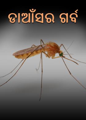 ଡାଆଁସର ଗର୍ବ