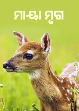 ମାୟା ମୃଗ