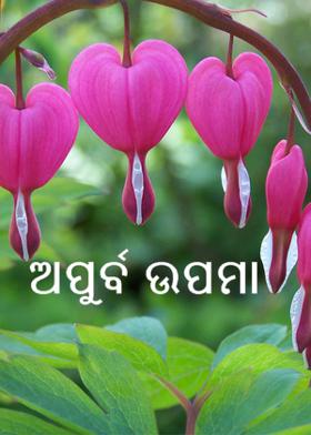 ଅପୁର୍ବ ଉପମା