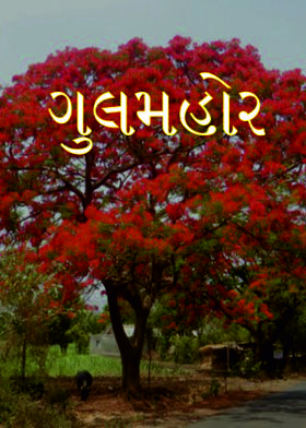 ગુલમહોર