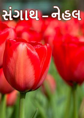 સંગાથ – નેહલ