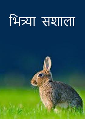 भित्र्या सशाला...