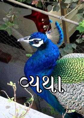 વ્યથા