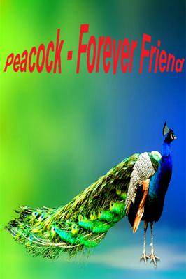 Peacock -Forever Friend