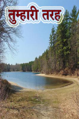 तुम्हारी तरह