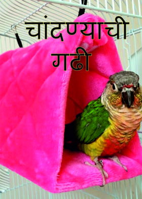 चांदण्याची गढी