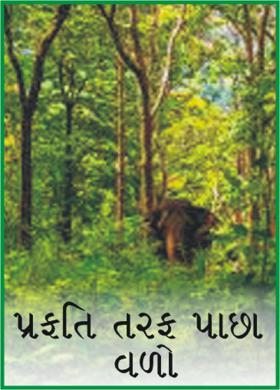 પ્રકૃતિ તરફ પાછા વળો