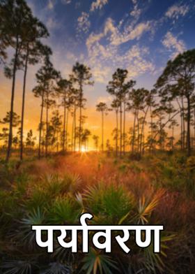 पर्यावरण
