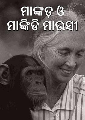 ମାଙ୍କଡ଼ ଓ ମାଙ୍କିଡି ମାଉସୀ