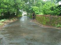 वृक्षवल्ली