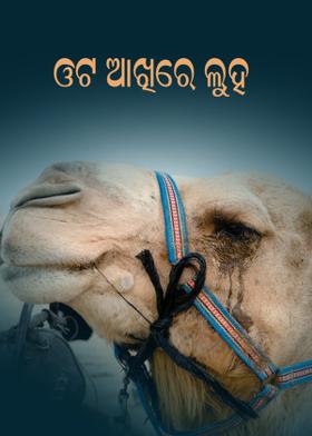ଓଟ ଆଖିରେ ଲୁହ