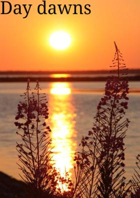 Day Dawns