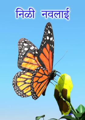 निळी नवलाई