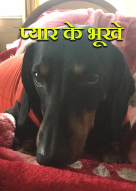 प्यार के भूखे