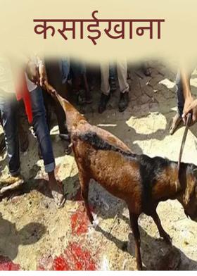 कसाईखाना