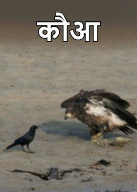 कौआ