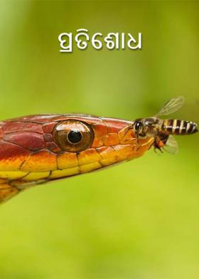 ପ୍ରତିଶୋଧ