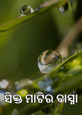 ସିକ୍ତ ମାଟିର ବାସ୍ନା