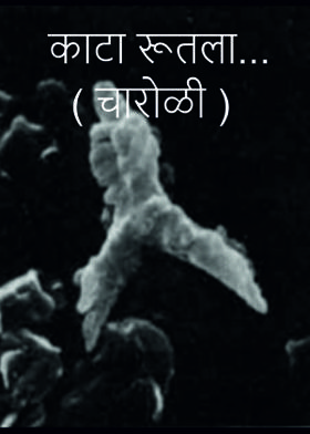 काटा रूतला... ( चारोळी )