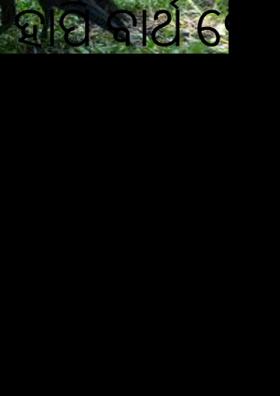 ହାପି ବାର୍ଥ ଡେ