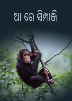 ଆ ରେ ସିମ୍ପାଞ୍ଜି