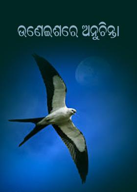 ଉଣେଇଶରେ ଅନୁଚିନ୍ତା