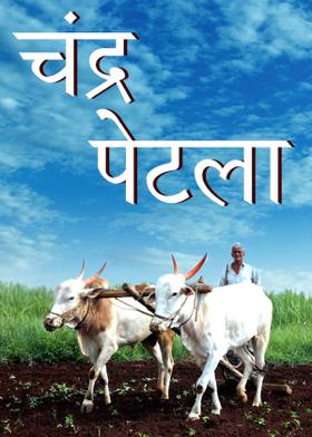 चंद्र पेटला