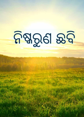 ନିଷ୍କରୁଣ ଛବି