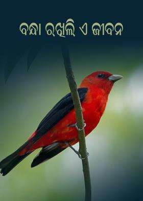 ବନ୍ଧା ରଖିଲି ଏ ଜୀବନ