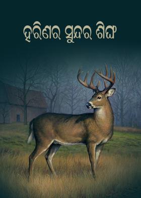 ହରିଣର ସୁନ୍ଦର ଶିଙ୍ଗ