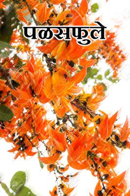 पळसफुले