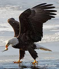  સમસ્યાનું સમાધાન