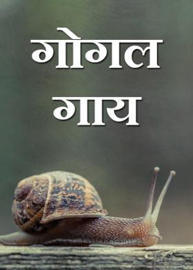 गोगलगाय