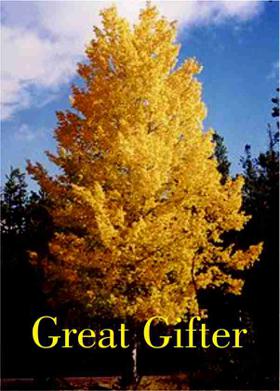 Great Gifter