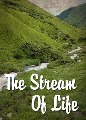 The Stream Of Life