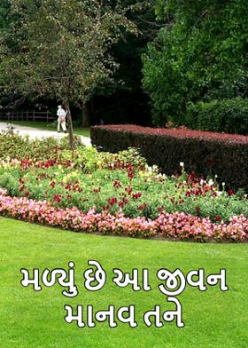 મળ્યું છે આ જીવન માનવ તને