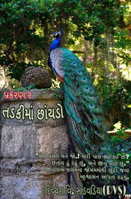 તડકીમાં છાંયડો (પ્રકરણ ૨)