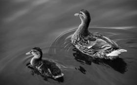  नव्या प्रेमाच्या शोधातं