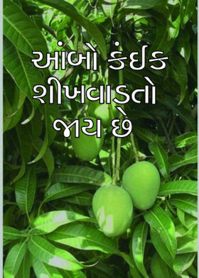 આંબો કંઈક શીખવાડતો જાય છે
