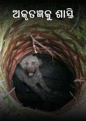 ଅକୃତଜ୍ଞକୁ ଶାସ୍ତି